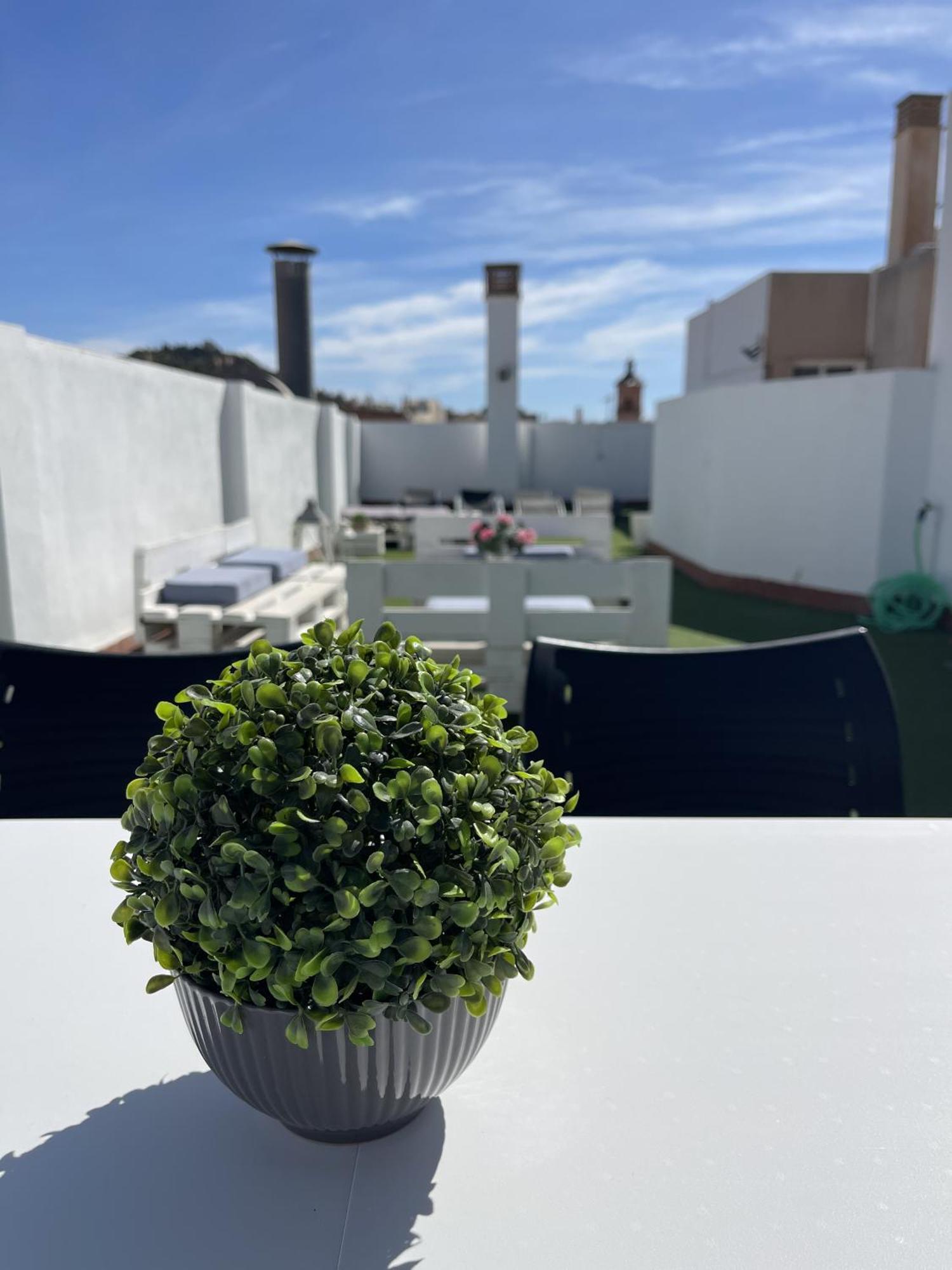 San Rafael Terrace City Centre Malaga Ngoại thất bức ảnh